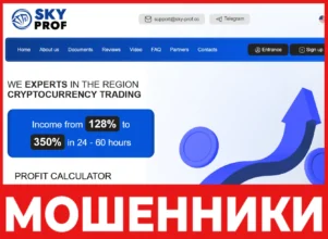 Sky Prof лицевая сторона скрин