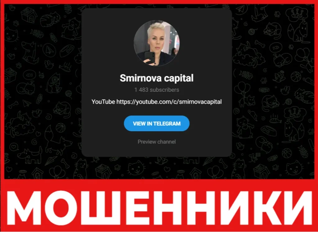 Smirnova capital лицевая сторона скрин