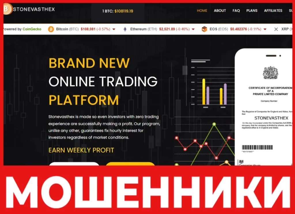 Stonevasthex лицевая сторона скрин