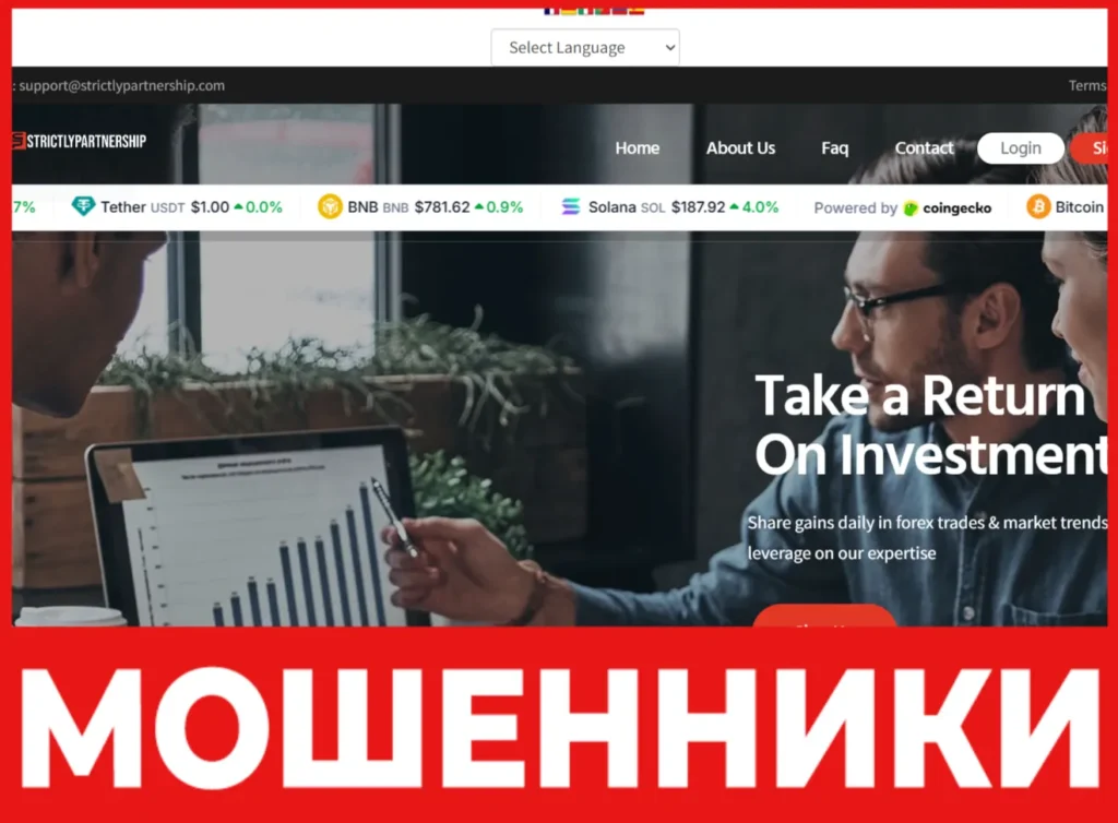 Strictly Partnership лицевая сторона скрин