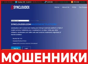 Syncloudex лицевая сторона скрин