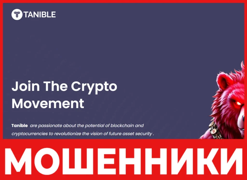 Tanible лицевая сторона скрин