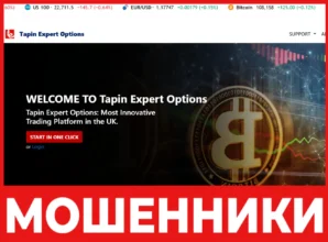 Tapin Expert Options лицевая сторона скрин
