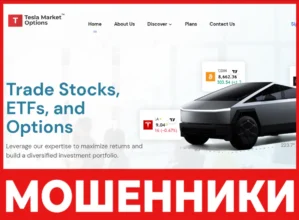 TeslaMarketOptions лицевая сторона скрин