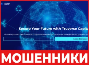 Truverse Capital лицевая сторона скрин