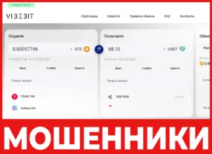 VibeBit лицевая сторона скрин