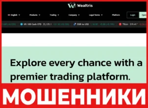 Wealtris лицевая сторона скрин