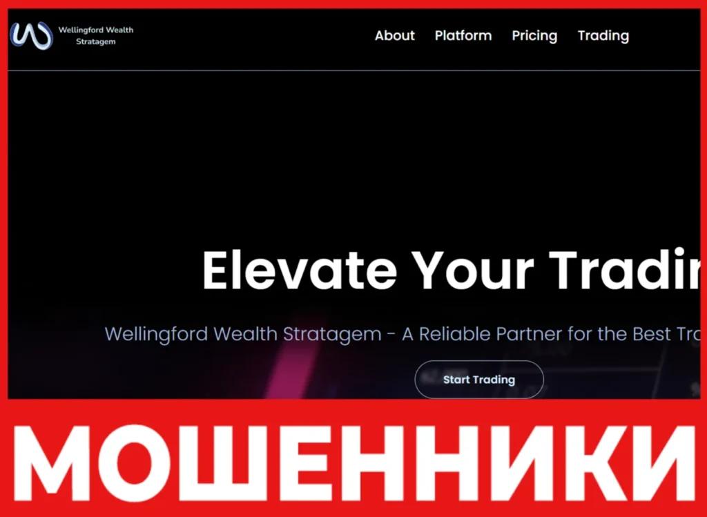 Wellingford Wealth Stratagem лицевая сторона скрин