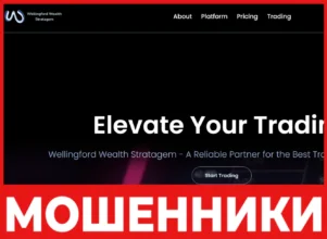 Wellingford Wealth Stratagem лицевая сторона скрин