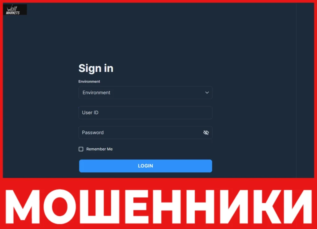 Wolf-markets39 лицевая сторона скрин