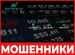 Wsn Capital Ltd лицевая сторона скрин