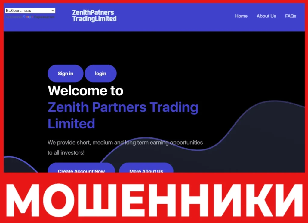 Zenith Partners Trading Limited лицевая сторона скрин