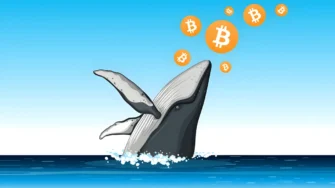Киты против быков: почему биткоин не смог удержать рекорд и начал снижаться
