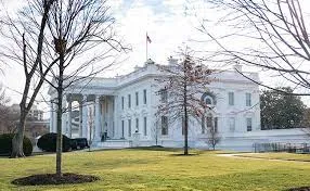 Уоррен: Трамп превратил Белый дом в криптовалютную машину — миллиарды на кону