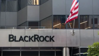 BlackRock: Stablecoin – новая сила в финансах, которая останется с нами надолго