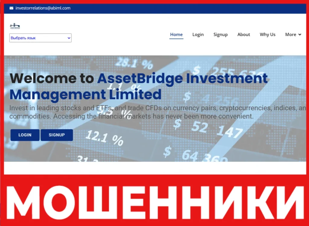 AssetBridge лицевая сторона скрин