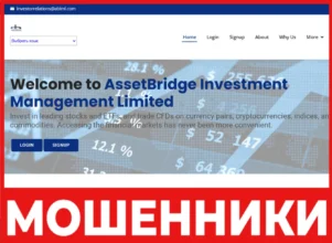 AssetBridge лицевая сторона скрин