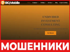 BIQ LLC лицевая сторона скрин