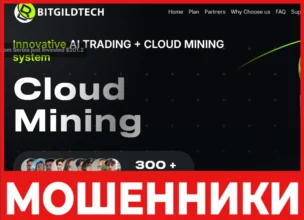 Bitgildtech лицевая сторона скрин