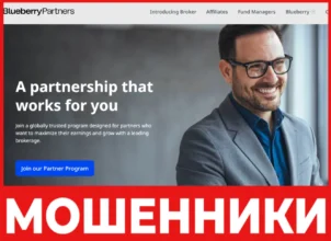 Blueberry Partners лицевая сторона скрин