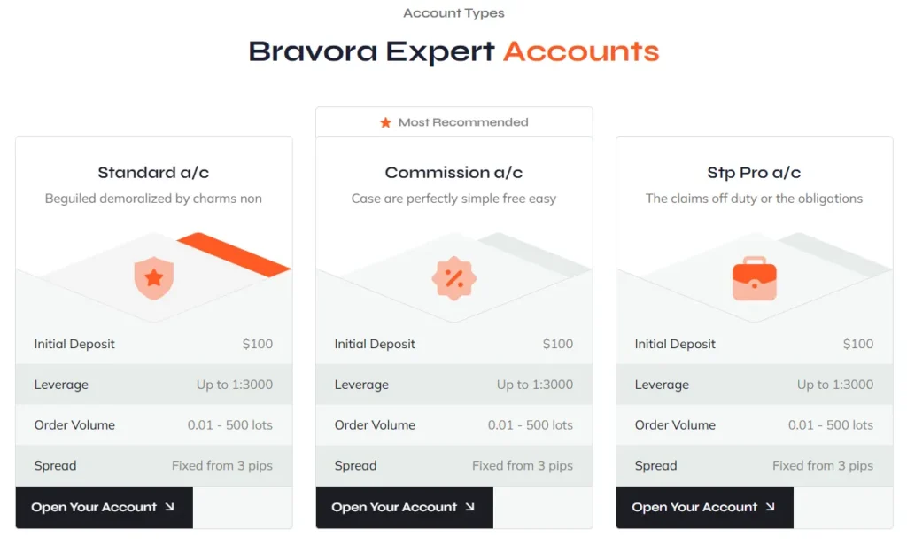 Bravora Expert 2 скрин