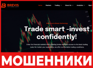Brevis Technology лицевая сторона скрин