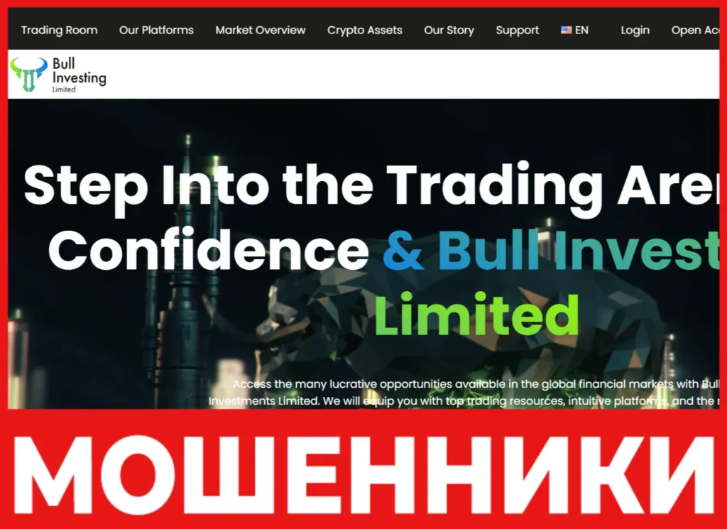 Bull Investments Limited лицевая сторона скрин
