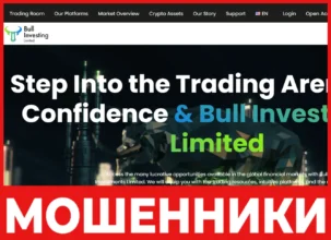 Bull Investments Limited лицевая сторона скрин