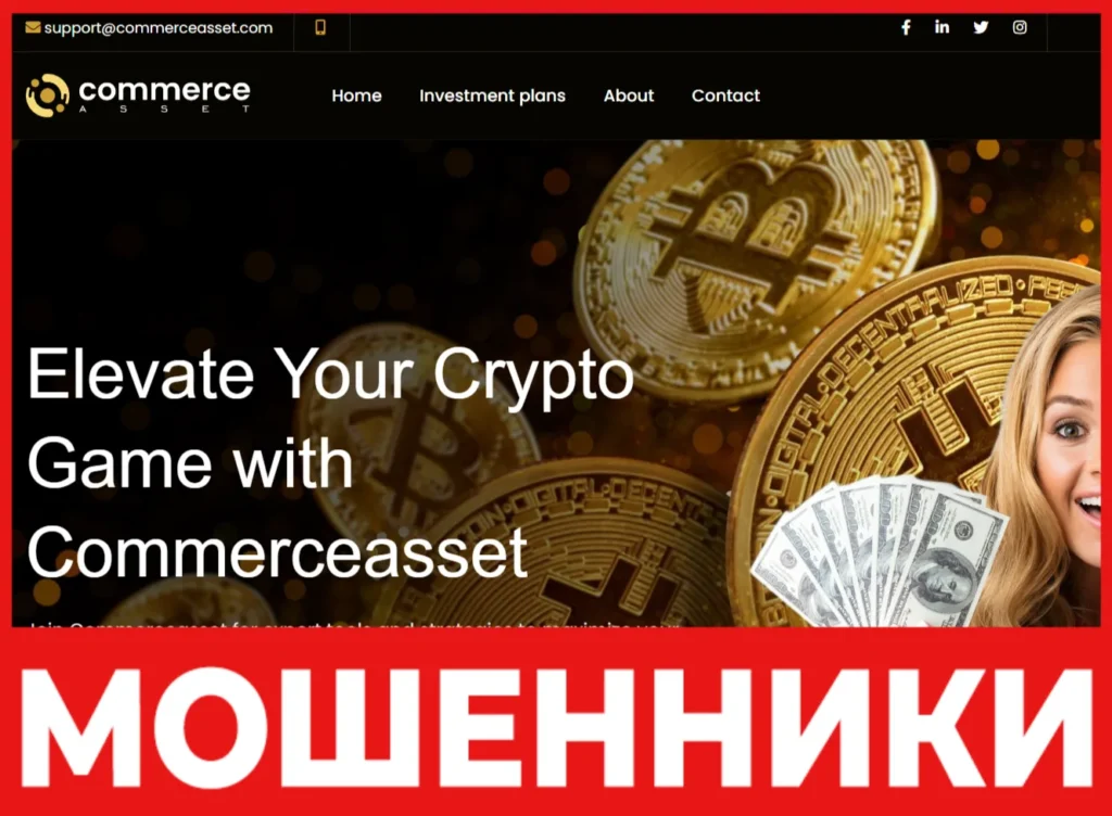 Commerce Asset лицевая сторона скрин