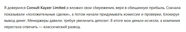 Consult Kayzer Limited 3 скрин