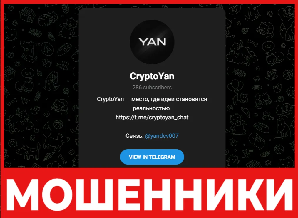 CryptoYan лицевая сторона скрин