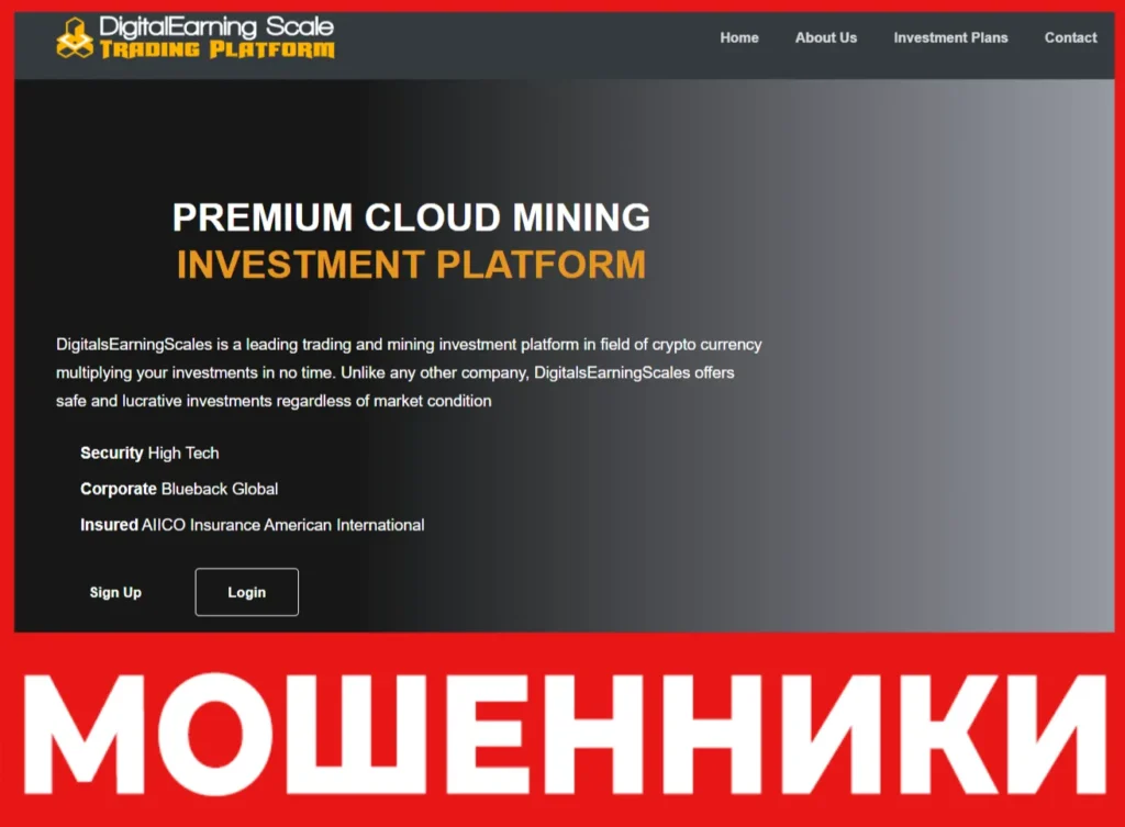 DigitalsEarningScales лицевая сторона скрин