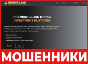 DigitalsEarningScales лицевая сторона скрин