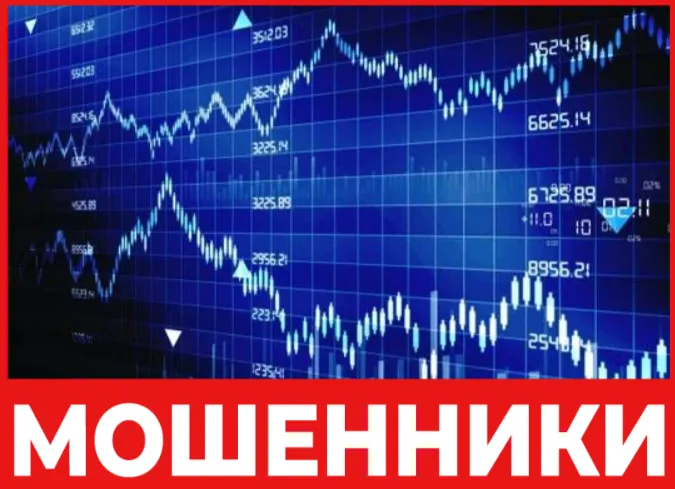 Elites Global Hub лицевая сторона скрин