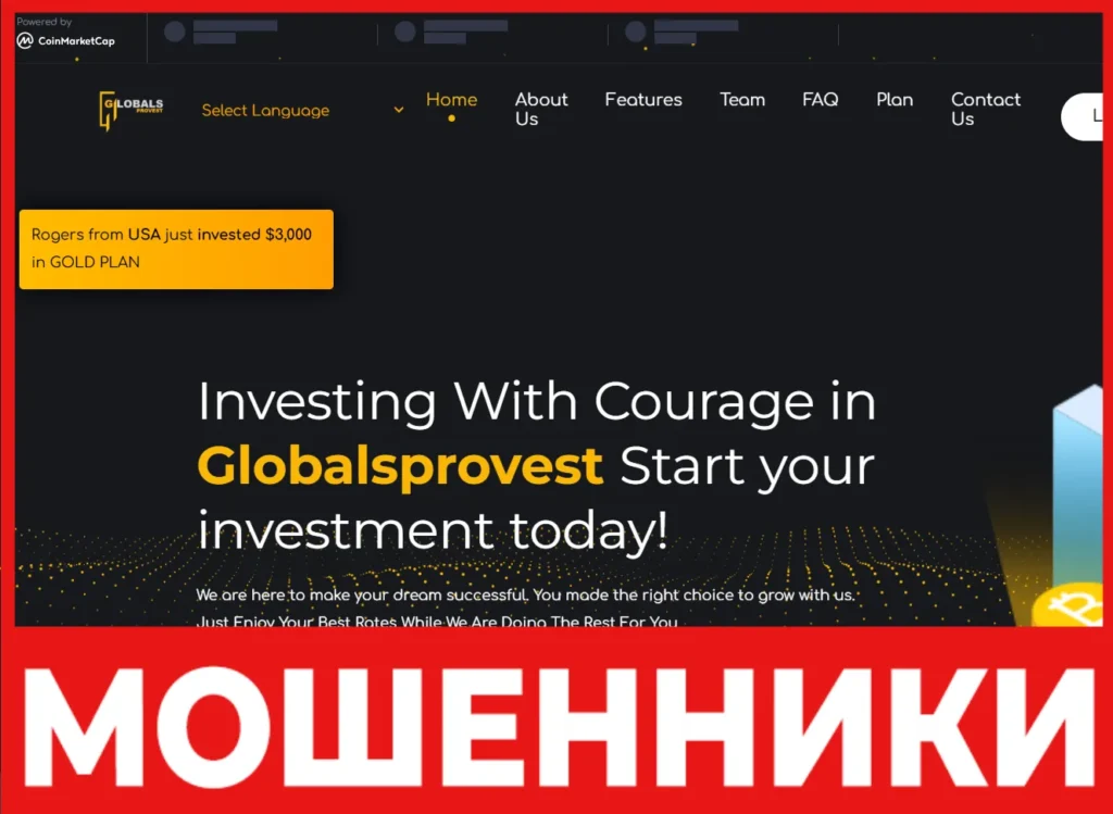 Globalsprovest лицевая сторона скрин