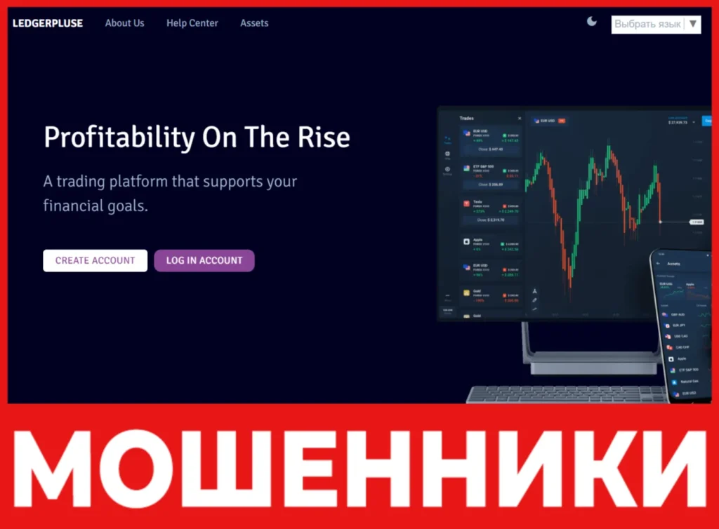 LedgerPluse лицевая сторона скрин