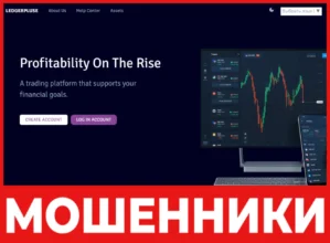 LedgerPluse лицевая сторона скрин