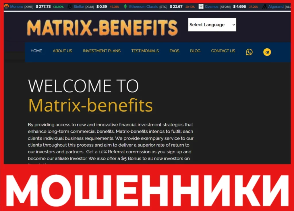 Matrix-benefits лицевая сторона скрин