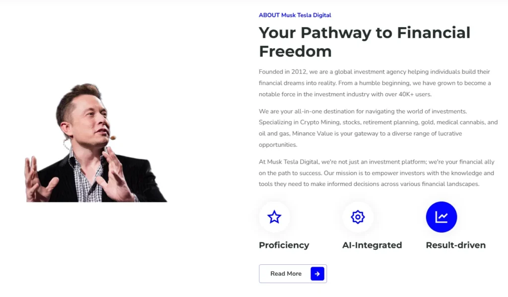 Musk Tesla Digital 2 скрин