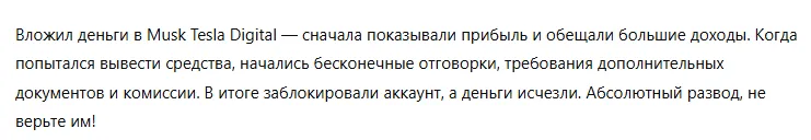 Musk Tesla Digital 3 скрин