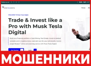 Musk Tesla Digital лицевая сторона скрин
