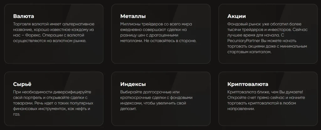 PecuniaryPartner 1 скрин