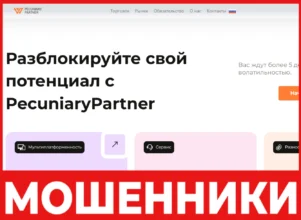 PecuniaryPartner лицевая сторона скрин