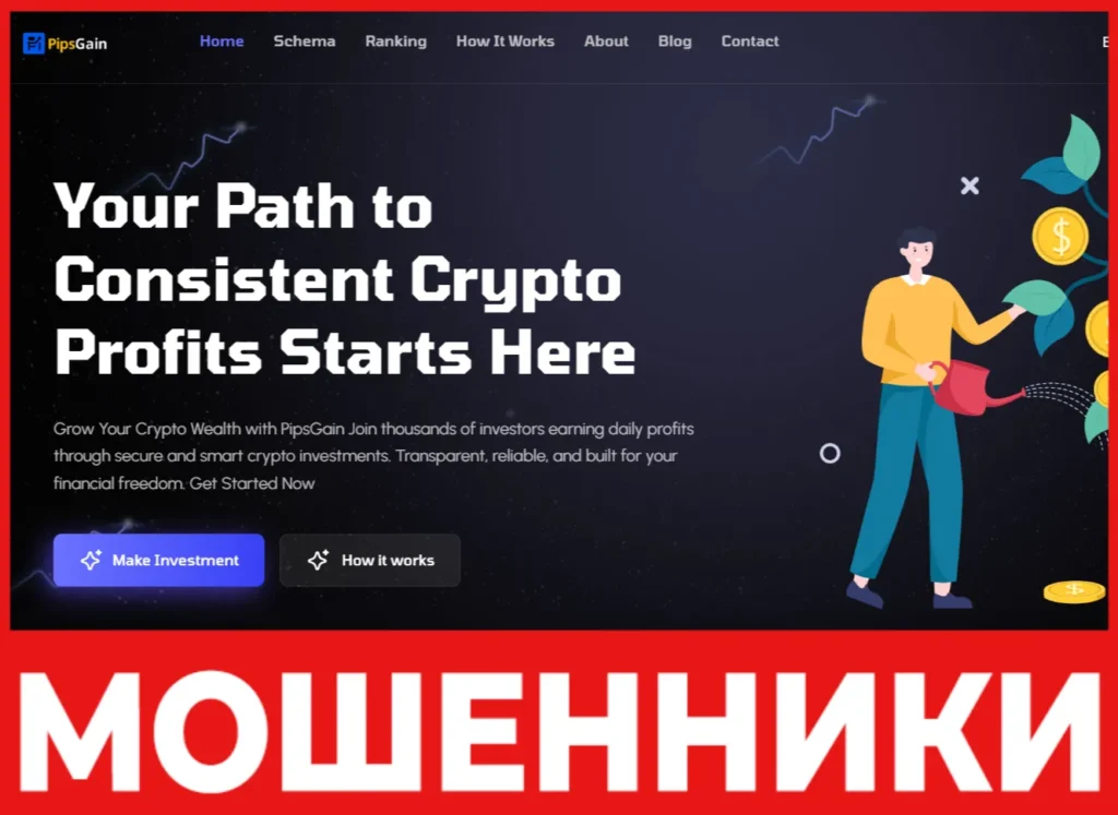 PipsGain лицевая сторона скрин