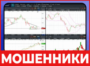 StockBasePro лицевая сторона скрин