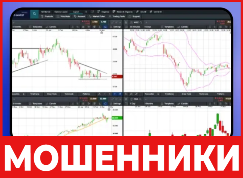 StockBasePro лицевая сторона скрин