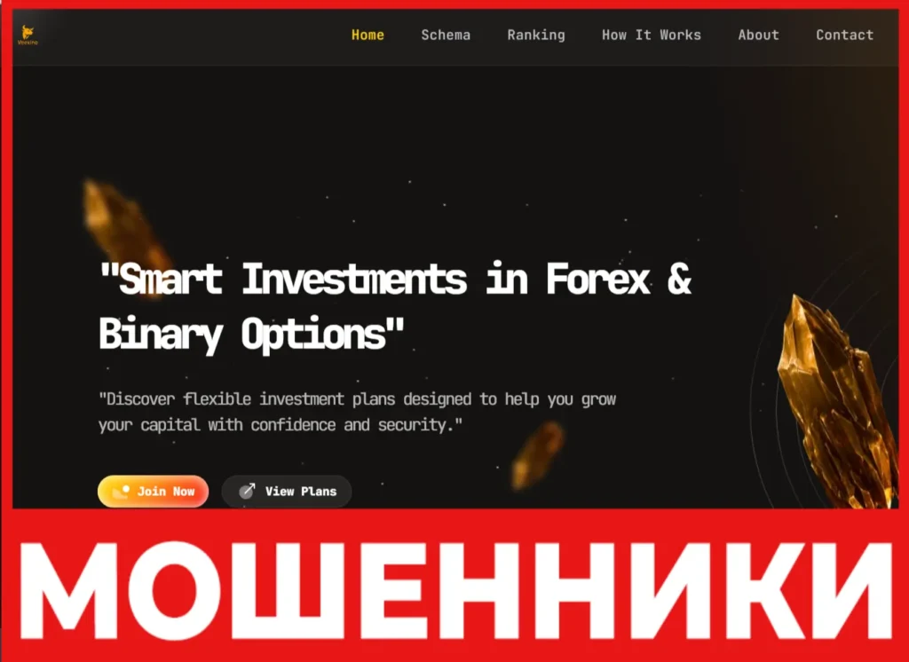 Veexino лицевая сторона скрин