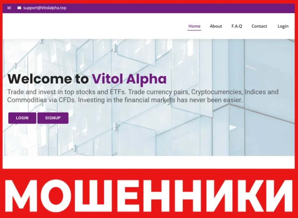 Vitol Alpha лицевая сторона скрин