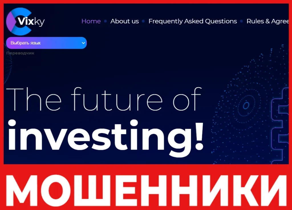 Vixky лицевая сторона скрин