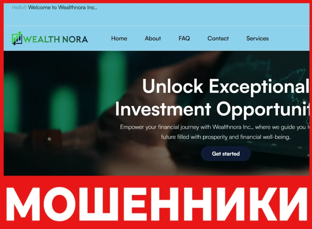 Wealthnora лицевая сторона скрин